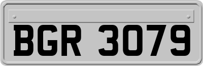 BGR3079