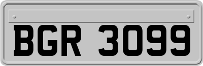 BGR3099