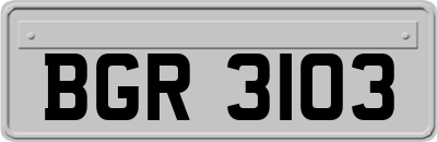 BGR3103