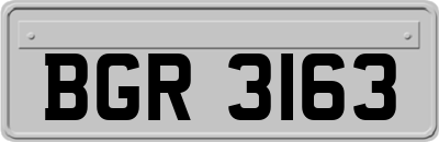 BGR3163