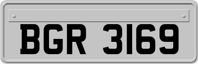 BGR3169