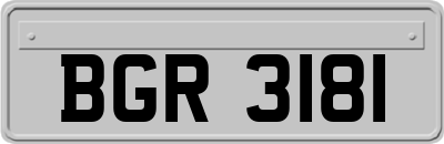BGR3181