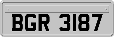 BGR3187