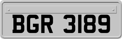 BGR3189