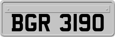 BGR3190