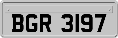 BGR3197