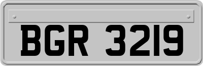 BGR3219