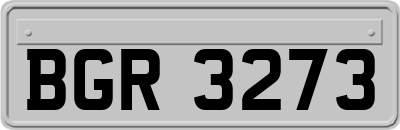 BGR3273