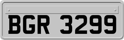 BGR3299