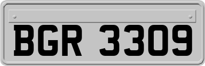 BGR3309