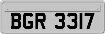 BGR3317
