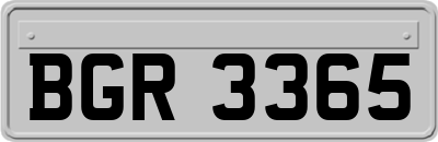 BGR3365