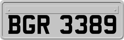 BGR3389
