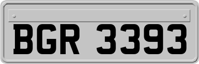 BGR3393
