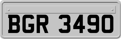BGR3490