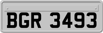 BGR3493