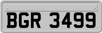BGR3499