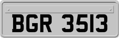 BGR3513