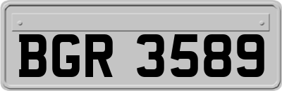 BGR3589