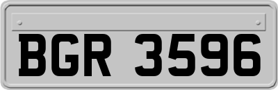 BGR3596