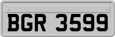 BGR3599