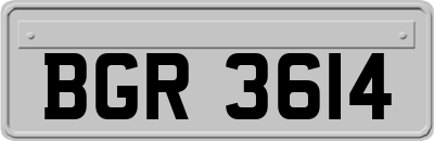 BGR3614