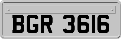 BGR3616