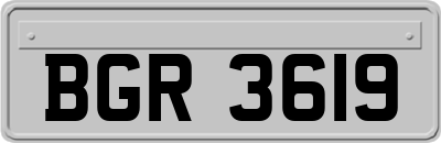 BGR3619