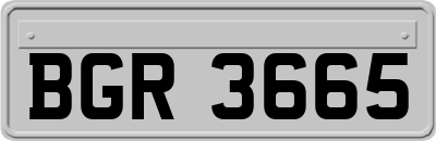 BGR3665
