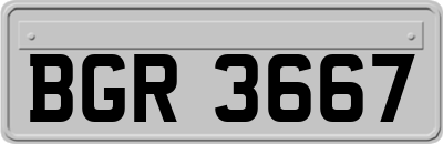 BGR3667