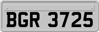 BGR3725