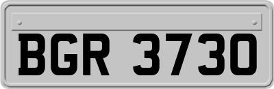 BGR3730