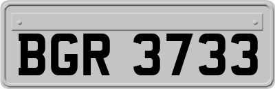 BGR3733
