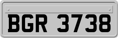 BGR3738