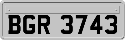 BGR3743