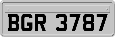 BGR3787