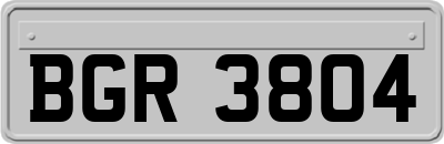 BGR3804