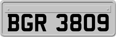 BGR3809