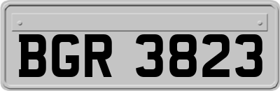 BGR3823