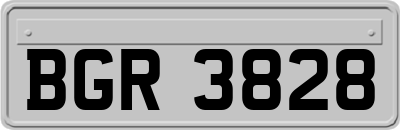 BGR3828