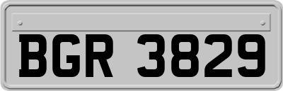 BGR3829