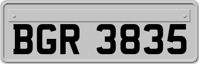 BGR3835