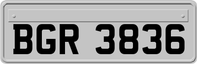 BGR3836