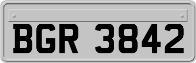BGR3842