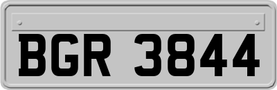 BGR3844