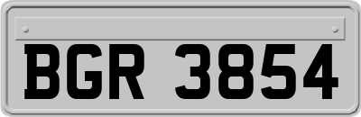 BGR3854