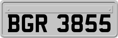 BGR3855