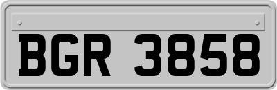 BGR3858
