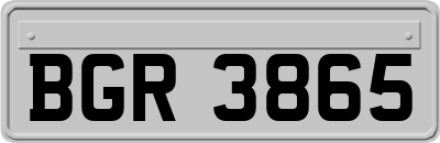 BGR3865