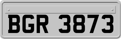 BGR3873